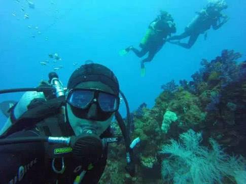 驻墨尔本总领馆为郑钦文等中国网球运动员庆功